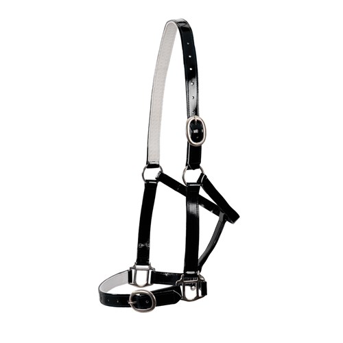 HSN5000F BK-02